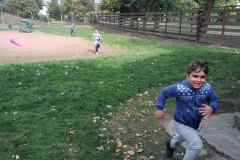IMG_20171013_135536