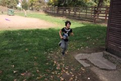 IMG_20171013_140748_1