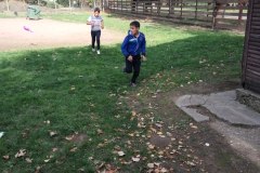 IMG_20171013_140759