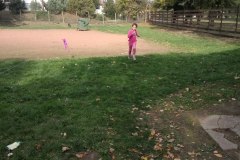 IMG_20171013_142005