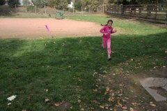 IMG_20171013_142006