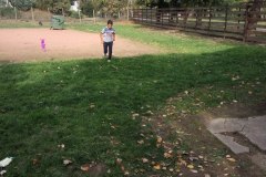 IMG_20171013_142326