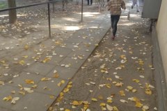IMG_20181013_101729