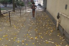 IMG_20181013_102245