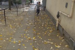 IMG_20181013_102256