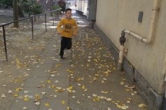 IMG_20181013_102300