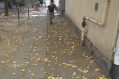 IMG_20181013_102317