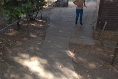 IMG_20181013_104224