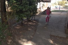 IMG_20181013_104235