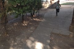 IMG_20181013_104756